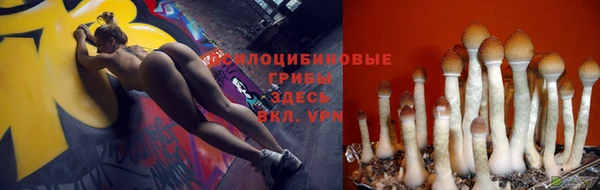 марки nbome Каменногорск
