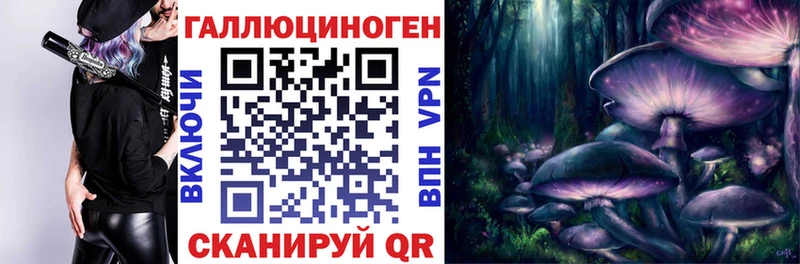 Псилоцибиновые грибы Cubensis  Купить закладки  Николаевск-на-Амуре 